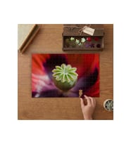 Yeşil Haşhaş Tomurcuğu Tasarımı 240 parça Ahşap Puzzle Ahşap Kutuda MP00982