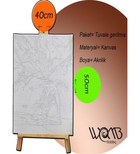 CR7 Sayılarla Boyama Seti 40x 50 cm (Tuvale Gerili)