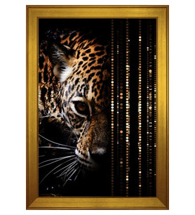 Hayvanlar Temalı Kanvas Tablo 50 x 70 cm Gold Çerçeve