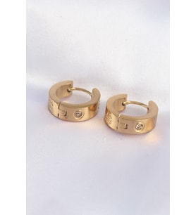 Tegan 316L Çelik Gold Renk Zirkon Taşlı Minimal Model Halka Küpe TG27BKP9007 (Çok Renkli)