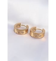 Tegan 316L Çelik Gold Renk Zirkon Taşlı Minimal Model Halka Küpe TG27BKP9007 (Çok Renkli)