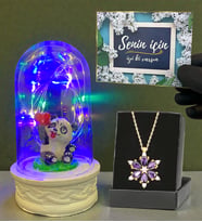 Renkli Led Işıklı Fanus ve Gerçek Ametist Taşlı Lotus Kolye Hediye Seti (Model 6)