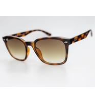 Ray-Ban RB 4392 710/13  66-17 Unisex Güneş Gözlüğü
