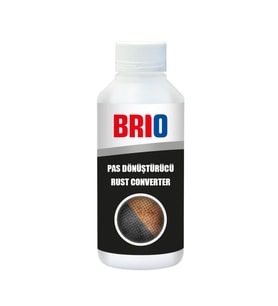 Brio Pas Dönüştürücü 250 Ml