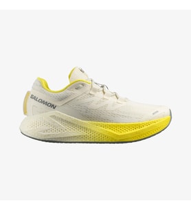 SALOMON  AERO GLIDE 3  479759