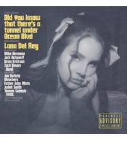 Lana Del Rey - Did You Know That There's A Tunnel Under Ocean Blvd (Black Vinyl) - Plak