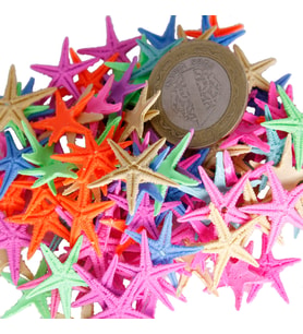 Polyester Deniz Yıldızı Minik Boy  0.5 CM- 1.5 CM (100 Adet)  Karışık Renk