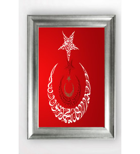 GÜMÜŞ ÇERÇEVELİ TABLO A895