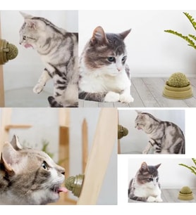 River World Kediler İçin Oyun Topu Kedi Nanesi Oyuncak