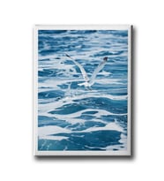 Martı Canvas Tablo MİND347