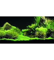 Kanki Pet KP1256335 Akvaryum Arka Fon Yapıştırma 125 x 63 CM