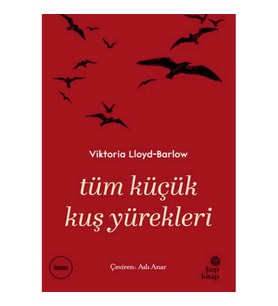 Tüm Küçük Kuş Yürekleri