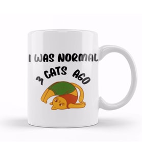 Funny Cat Lover Gifts For   Men Kids Kupa Bardak Porselen