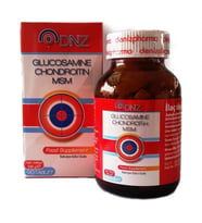 DNZ Glucosamine Chondroitin MSM 90 Tablet