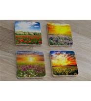 Bahar Çiçekleri Doğal Taş Bardak Altlığı 4'lü set - Natural Stone Coasters