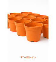 10 Adet Saksı Yetiştirme Çoğaltma Saksısı 8.5 cm