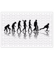 Evolution Of Skate Puzzle 240 Parça Yapboz