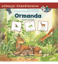 Dünyayı Öğreniyorum Ormanda Resimli Sözlüğüm