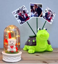 Kişiye Özel Hediye Seti 3 Fotoğraflı Sevimli Yeşil Kaplumbağa ve Led Işıklı Fanus (Model 5)