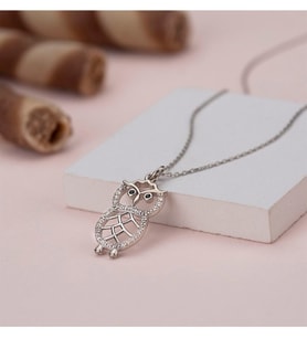 Saklı Takı 925 Ayar Gümüş Baykuş Kolye
