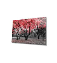 Miyrem Glasses Collection -A1^#  Kırmızı Ağaçlar Doğa Cam TabloCam Tablo (Çok Renkli)