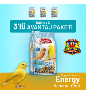 Kanarya Yemi 500 g - 3 Adet