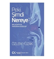 Peki Şimdi Nereye?