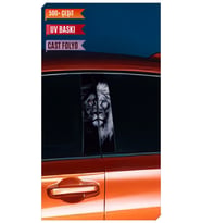 Araç Kapı Direk Kaplama Folyosu Aslan Desenli (Sağ Sol Takım) (2 Adet) - 22x50 C (Çok Renkli)