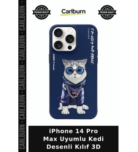 iPhone 14 Pro Max Uyumlu Kedi Desenli Kılıf 3D Farklı Aksesuar Karakter