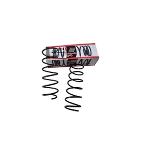 RENAULT R9- FAIRWAY- 93/96; ÖN HELEZON YAYI SAĞ/SOL (2Lİ SET) (11,75X158) (STDR) 7704011627