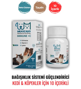 Immune C Vitamini Kedi Ve Köpekler Için Bağışıklık Sistemini Destekleyici Ve Güçlendirici Tablet