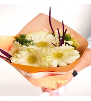 BUKET KAGIDINDA GERBERA