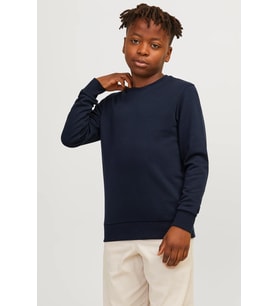 Jack & Jones Jjebradley Çocuk Sweatshirt (Lacivert)
