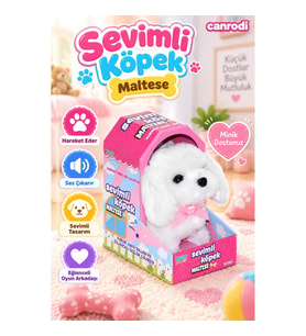 47100 Sevimli Köpek Maltese -canrodi