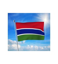 Gambiya Devleti Bayrağı Premium Raşel Kumaş 100x150 cm