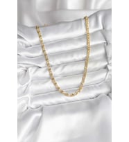 Northcity 14K Gold Renk Kaplama Zincir Model CM Kadın Kolye 5886