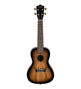 Laniikai Limited Edition SMBB-CX Spalted Maple Concert Ukulele
