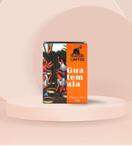 Alerya Guatemala Filtre Kahve
