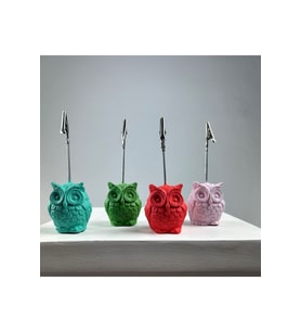 Baykuş Not Tutucu 4'lü Set (buz Yeşili - Pembe- Mercan - Yeşil)