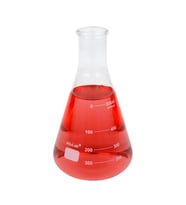 ERLENMAYER (500 ml. Cam)