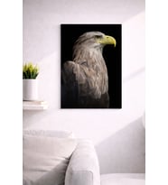 EAGLE24 TASARIM MDF TABLO (27X18)