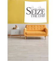 Beyaz Carpe Diem Leke Tutmaz Kadife Kumaş Duvar Örtüsü Duvar Halısı Tapestry