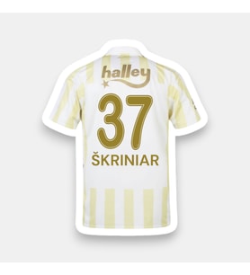 Skrınıar-37 Fênerbâhçe 26-27 Yeni Sezon Yetişkin Futbol Forması
