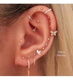 Heppii Mini Tektaş Cerrahi Çelik Piercing  Tragus Helix Kıkırdak Conch Gold Renk 8 mm (Çok Renkli)