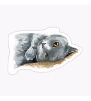 Araba Leptop için Kedi Oto Sticker Yapıştırması Etiket  17CM z2