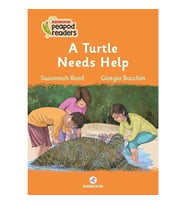 A Turtle Needs Help