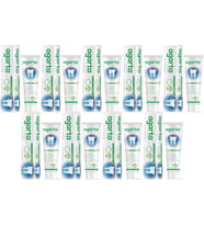 Agarta Doğal Diş Macunu 100ML Bitki Özlü (9 Lu Set)