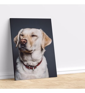 Sevimli Beyaz Köpek Dikey Dekoratif Kanvas Tablo