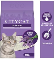 City Cat Lavanta Kokulu Kedi Kumu 10 Lt