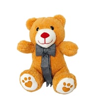 Peluş Ayıcık